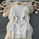 Talia Lace Full Sleeves Dress - Label Frenesi Fashion